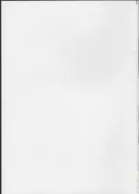 (C88) [Amarini Senpaku! (Yokkora)] My Wife Laala (PriPara)