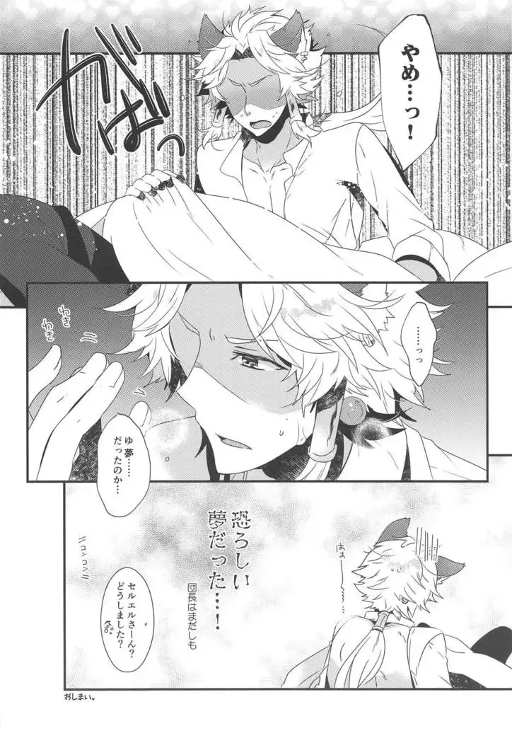 Danchou-san to Irestill!