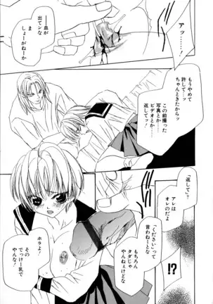 Vol. 3 Kyonyuu Bakunyuu