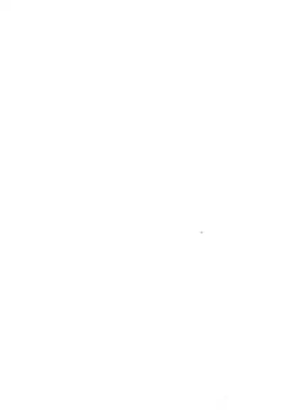 Chicchakute Ecchi Hon 5