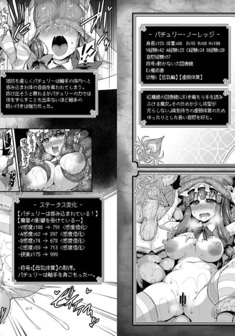 Touhou Ero Status Goudou