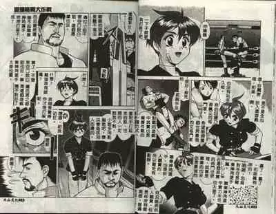 Operation Daisakusen