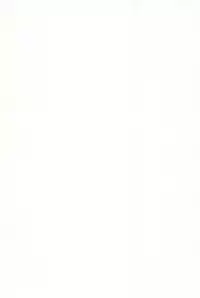 (C70) [TK-BROS (Tamaru Makoto)] TK-07 Fate (Fate/stay night)