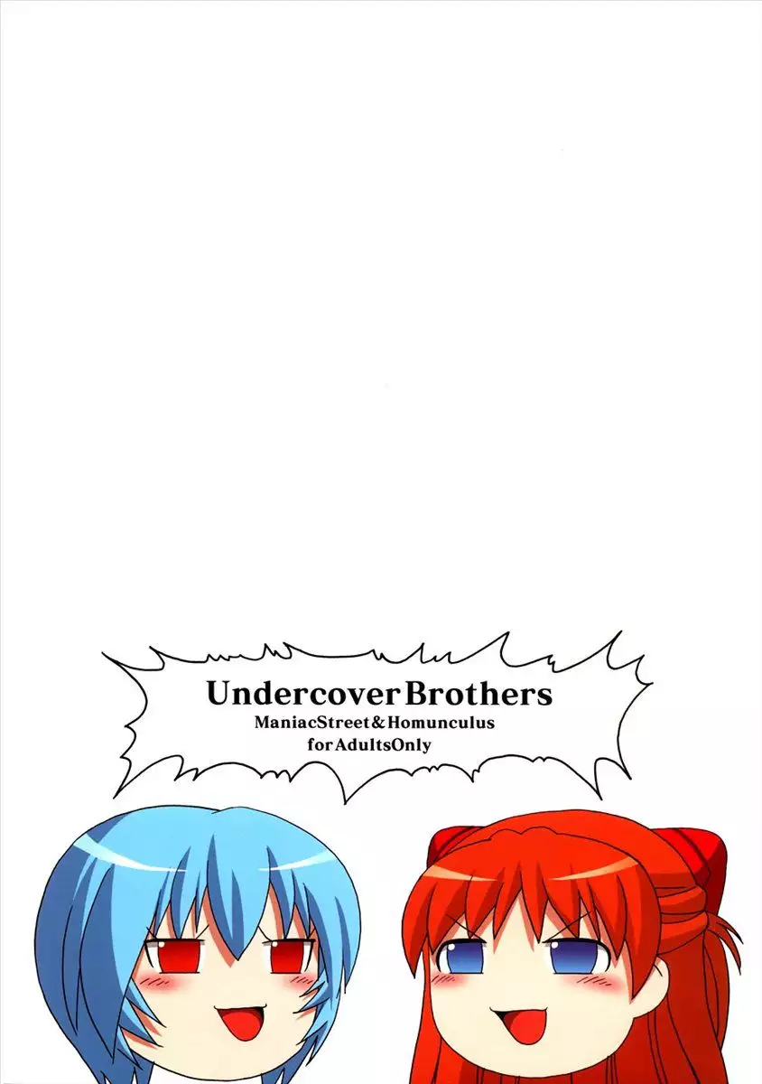 Undercover Brothers