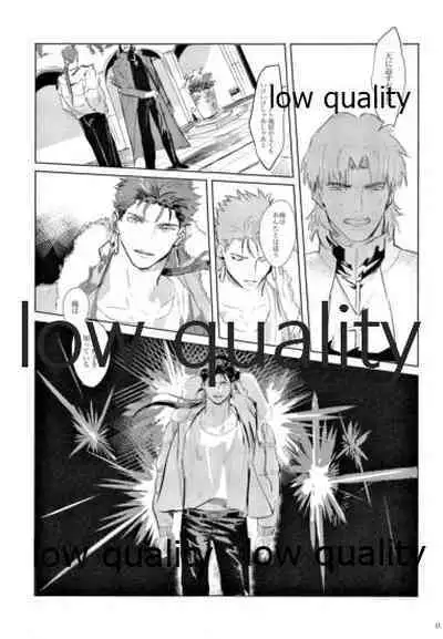 (SUPER26) [Muri Yari (Gibachi)] Hikari no Zou (Fate/stay night)