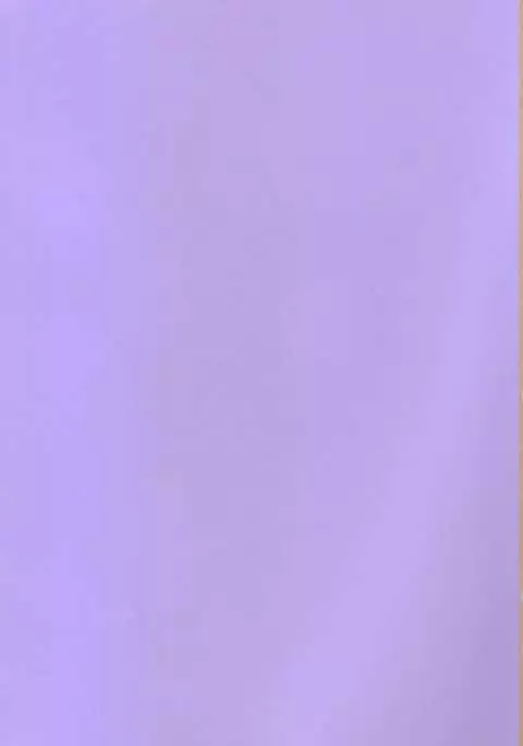 Futayome!! Heresy ~Yasashii Yakuza Hen~