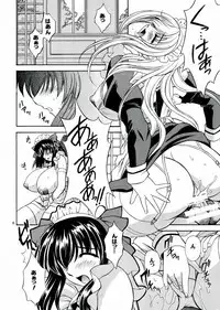 (C70) [Narimasuya (Akiba Wataru)] DOLLS DIARY 6