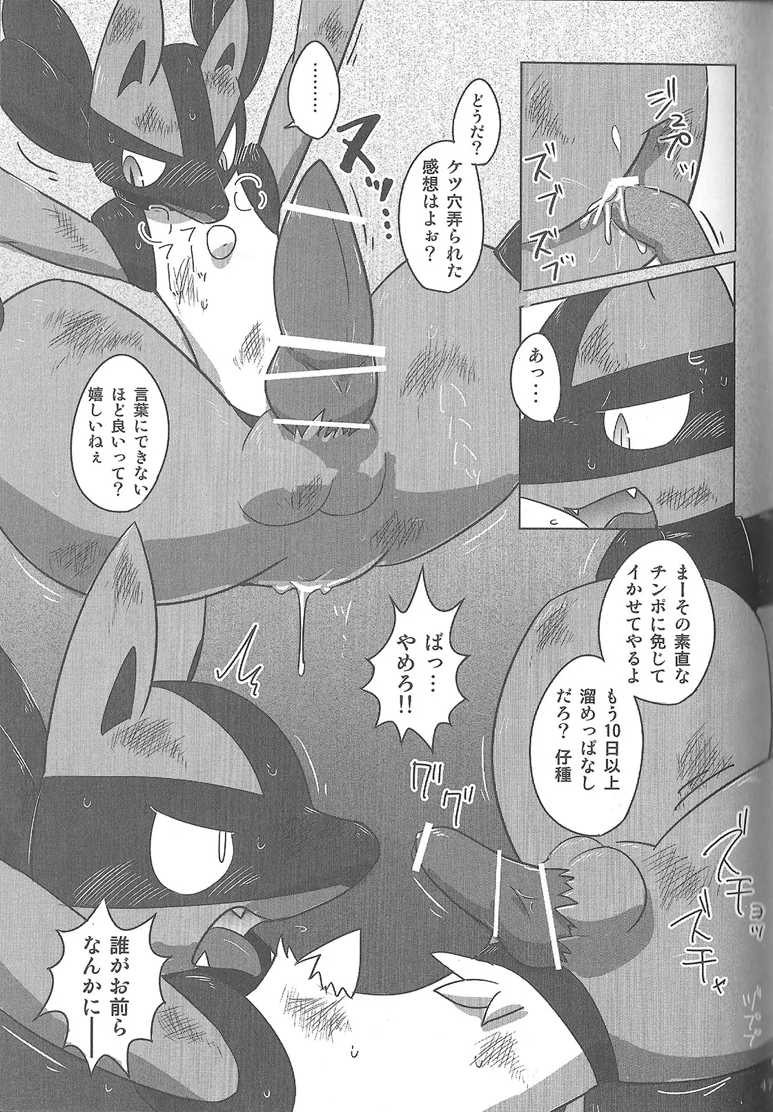 LUCARIO IJIME ANTHOLOGY