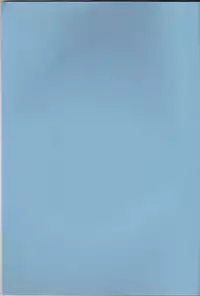 (C65) [Tax inn (Kisu Yoshimitsu)] FALLEN (Bleach)