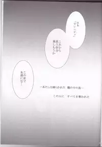 (C82) [MoE (Eiri)] Kuroi Tsuki ni Michibikare (Sailor Moon)