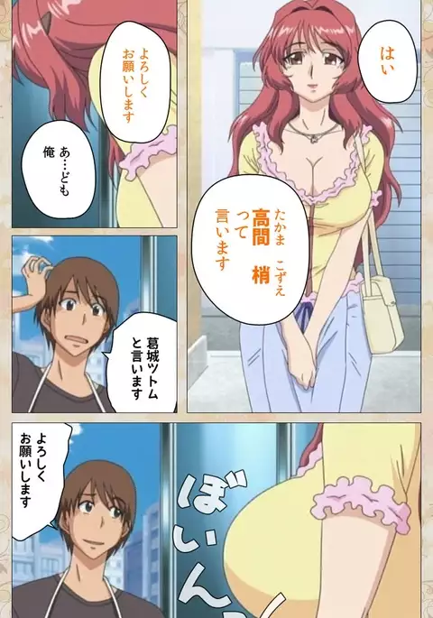 Aniyome wa Ijippari #01 Complete Ban