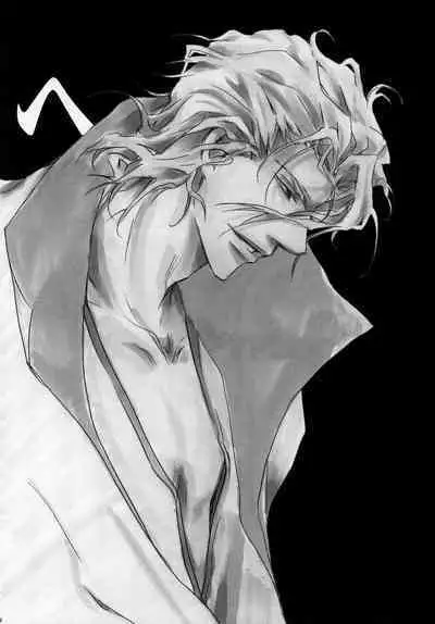 AISIRO Soushuuhen II