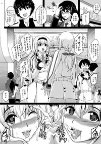 [Shouchuu MAC (Hozumi Kenji)] Poodle & Bunny Time (IS <Infinite Stratos>) [Digital]