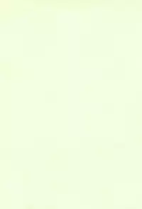 (C58) [SHEEPCLOUD (Hitsujiko)] Digital Syndrome (Digimon Adventure 02)