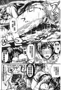 [Fue] フェラピュア[chinese]