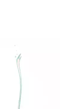 Hooker Ch.1-39 (English) (Ongoing)