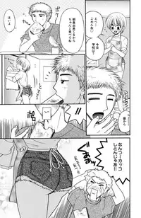 Darenimo Ienai Maru himitsu + vol.12 Forbidden Love