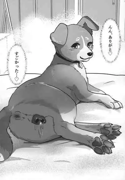 (Kemoket 11) [Kon Juuichibai (Momou)] Wonderful! 1