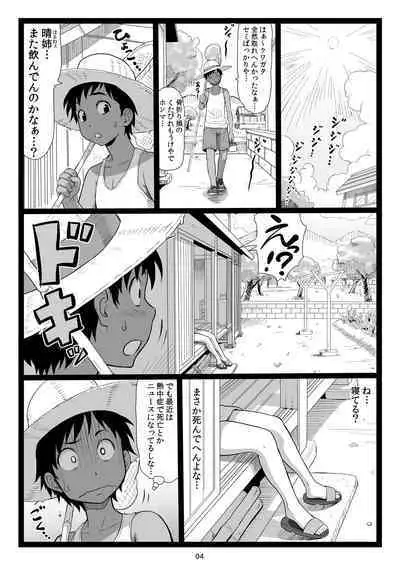 Natsuyasumi no Omoide