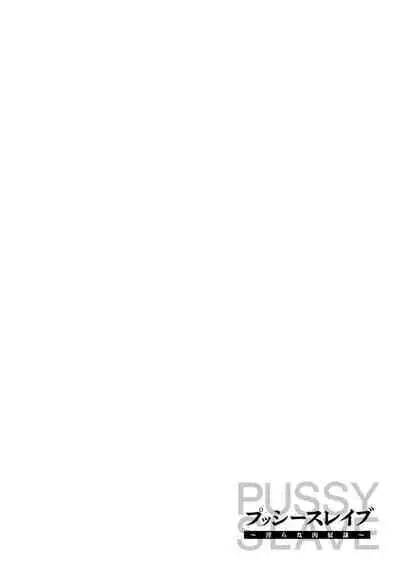 PUSSY SLAVE 〜Midarana Niku Dorei〜
