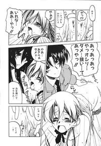 [Benjamin] Stray Sheep