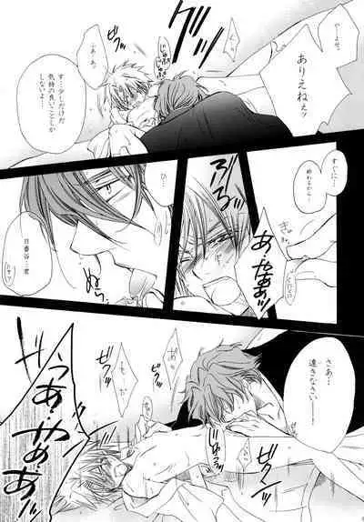 AISIRO Soushuuhen II