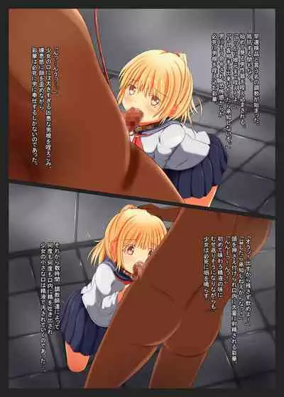 少女のねだん。