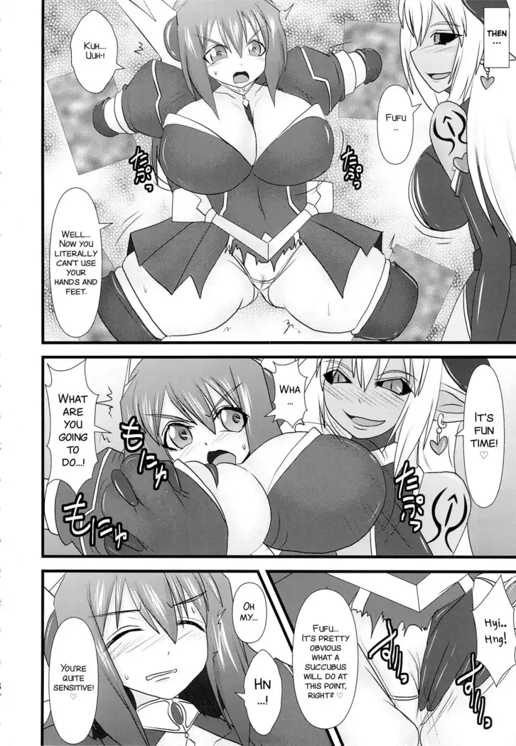 Shield Knight Elsain Vol. 13 "Succubus Flirtation"