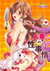 [MS Confidential] Aru Hitozuma no Seijijou [Chinese] [无毒汉化组] [Digital]
