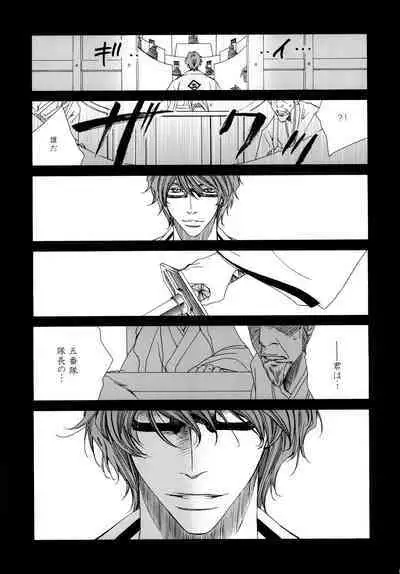 AISIRO Soushuuhen II