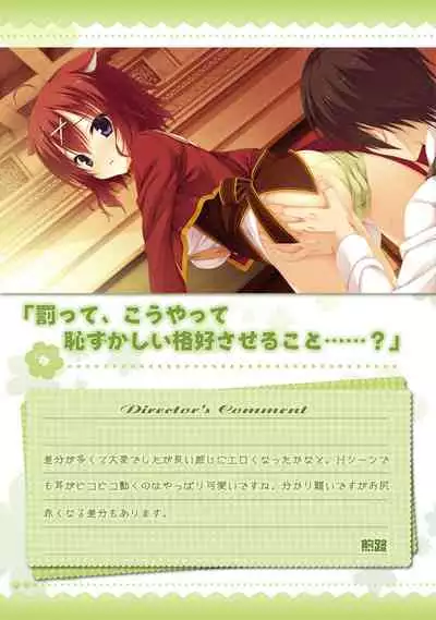 AMAIRO ISLENAUTS OFFICIAL VISUAL FAN BOOK