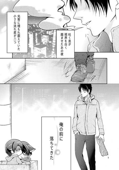 Futago neko hiroimashita