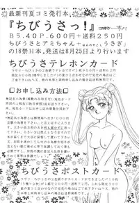 Chibiusa [Sailor Moon]