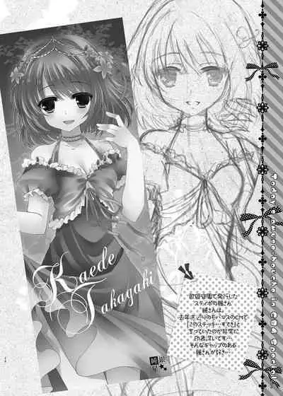 MCG DereSta Souchuuhen