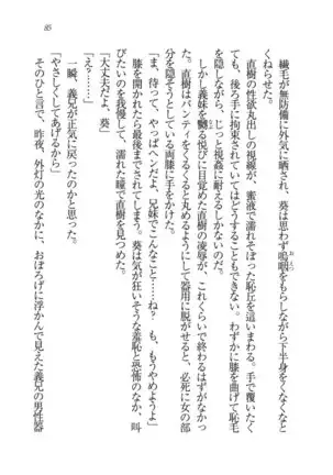 あおい 妹と生徒会長