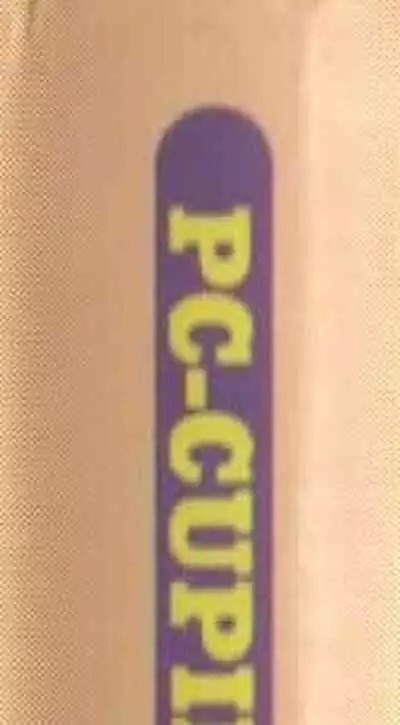 Official Alicesoft Full Completion Guide