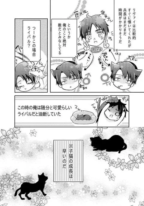 Futago neko hiroimashita