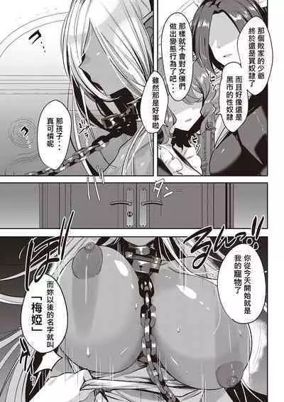 Dark Elf no Kouhuku-ron | 黑暗精靈幸福理論