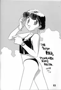 (C42) [Ganso Sonodaya (Various)] Chosen Ame (Various)