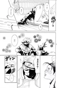 His Preferences (Kaka-Iru Fan Book; No.12)