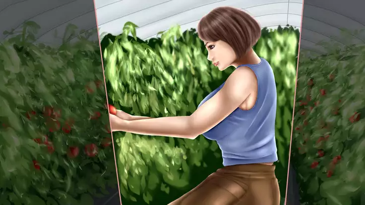 Akiko, Tomato Farmer