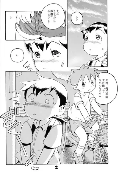 MP XX eXXtended Edition