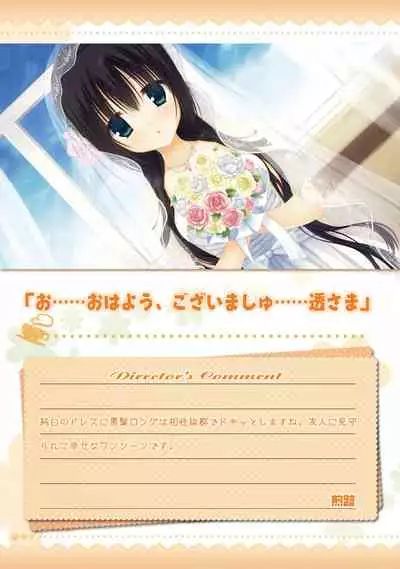 AMAIRO ISLENAUTS OFFICIAL VISUAL FAN BOOK