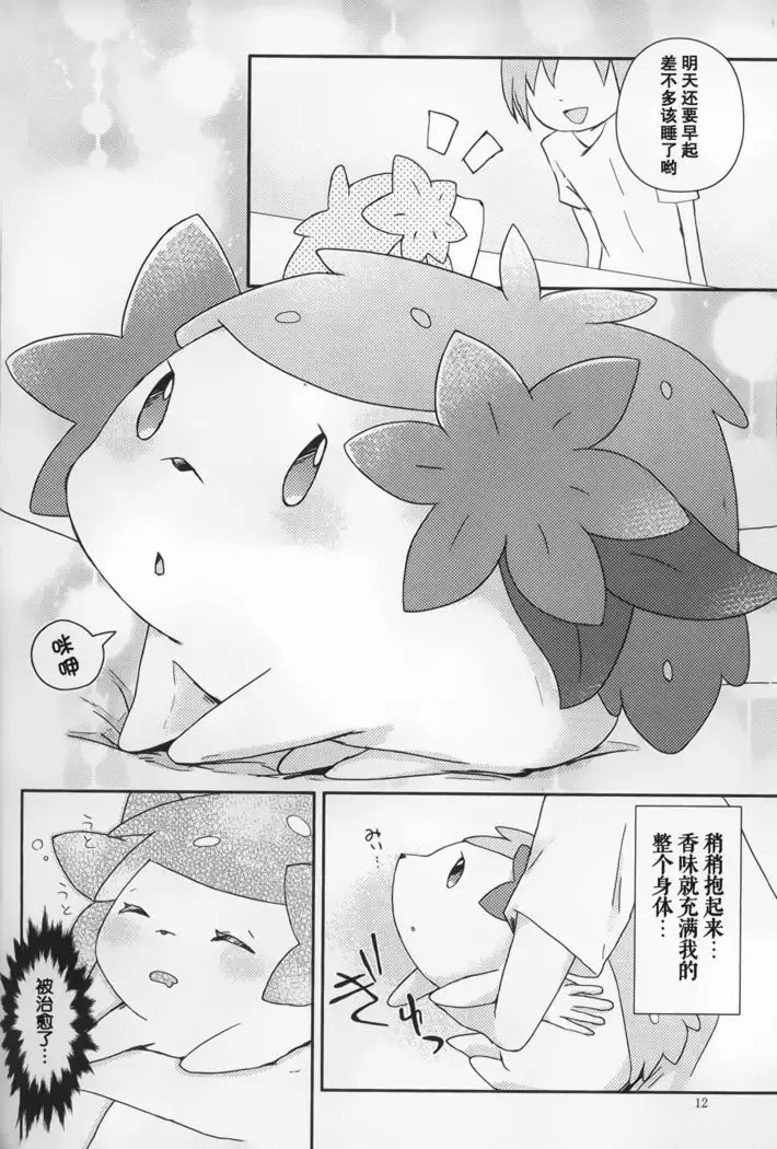 Sheimi no Iru Seikatsu | 和谢米在一起的生活