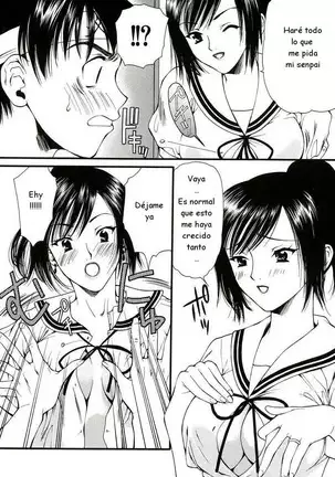 Houruri - Nadeshiko C04,08 ESP