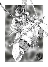 [WHITE ELEPHANT] 三國女神2