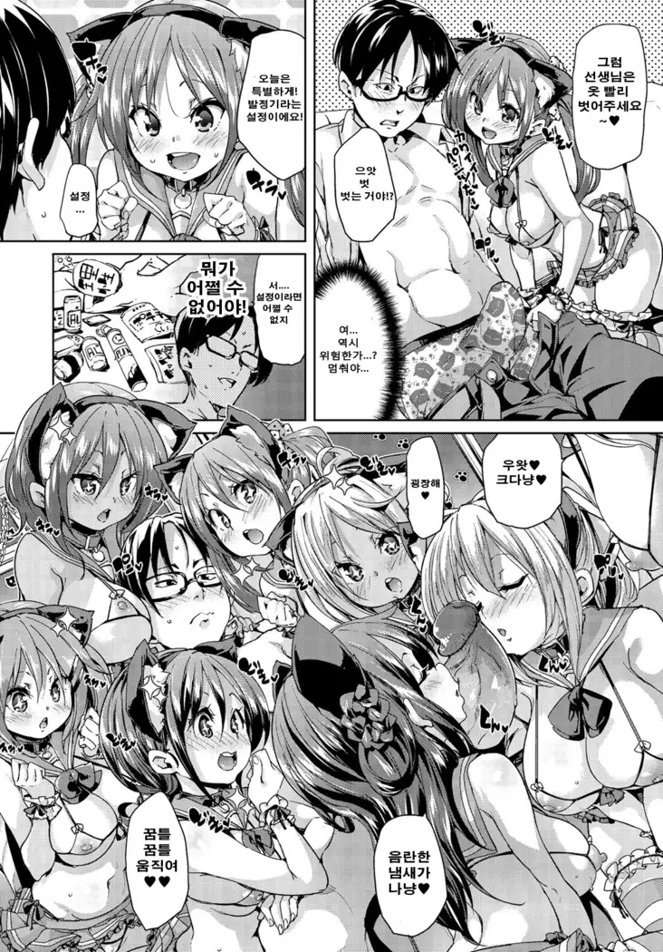 Nekocafe hatuzyuutyuu