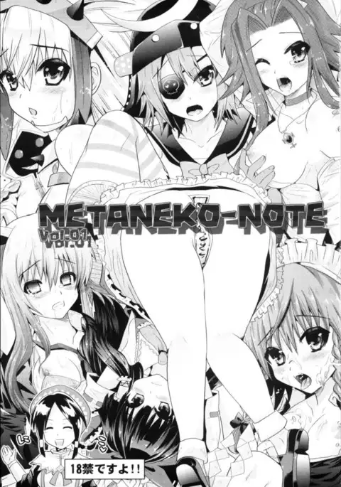 METANEKO NOTE 1-10+