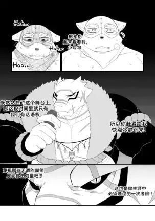 Killer Whale & Niterite 3