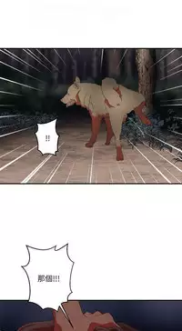 母豬養成計畫【中文】